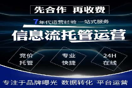 大型SEM服务公司案例分析